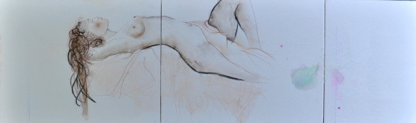 Herman Jan Bosch + Naked beauty 2